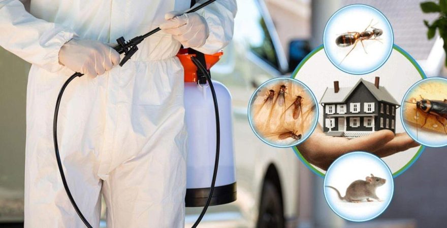 Foça Böcek İlaçlama