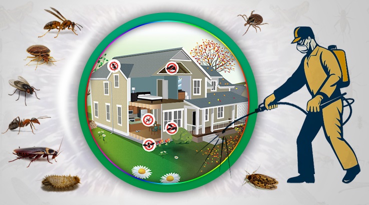 Foça Böcek İlaçlama