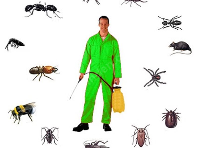 Foça Böcek İlaçlama